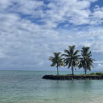 20231028_193247146_iOS