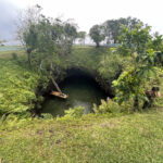 20231029_003930932_iOS