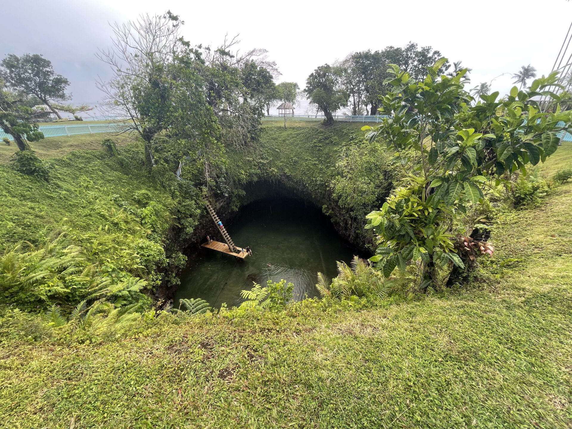 a hole in the water with trees and grass