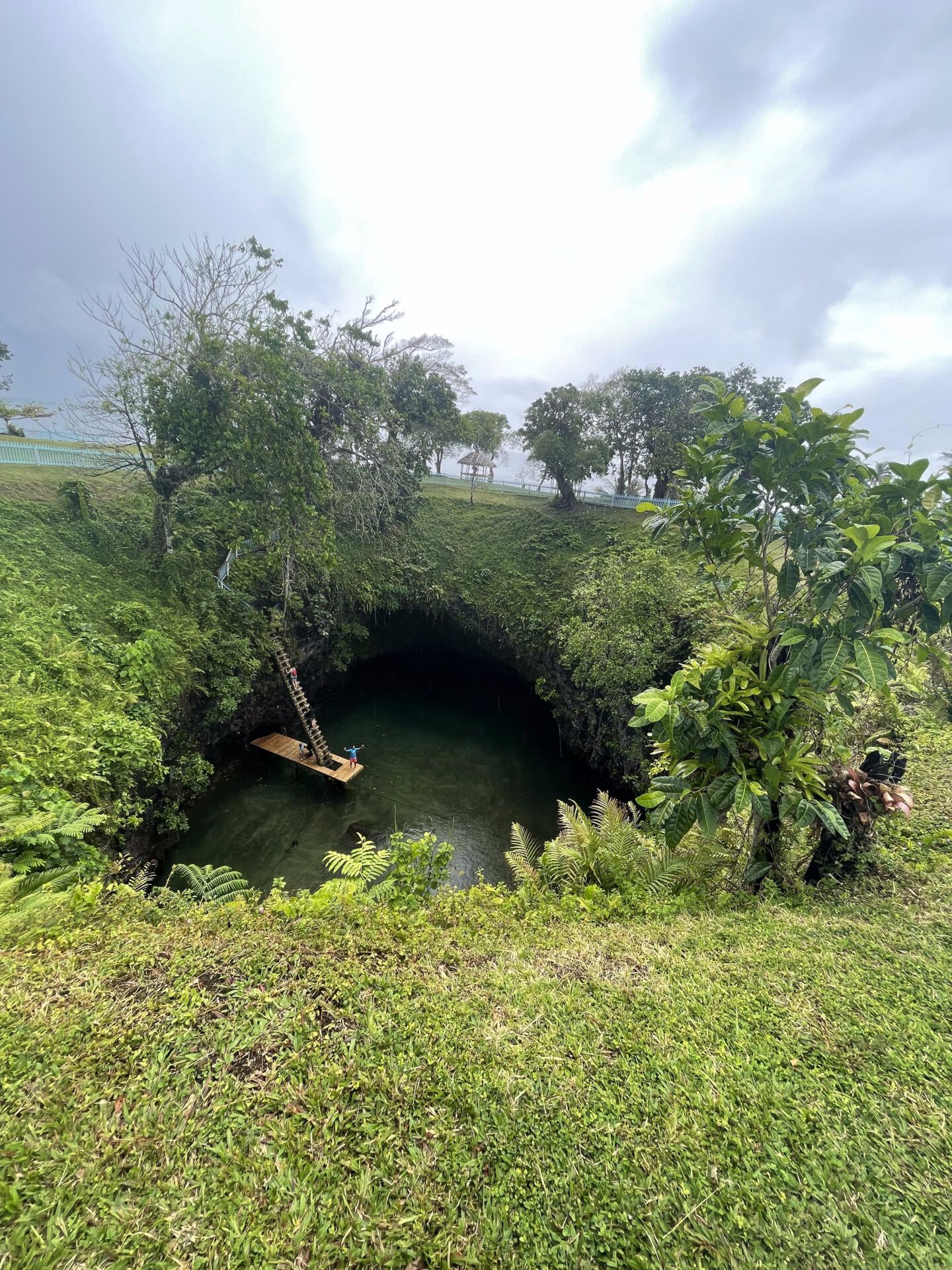 a cave with a bridge and trees