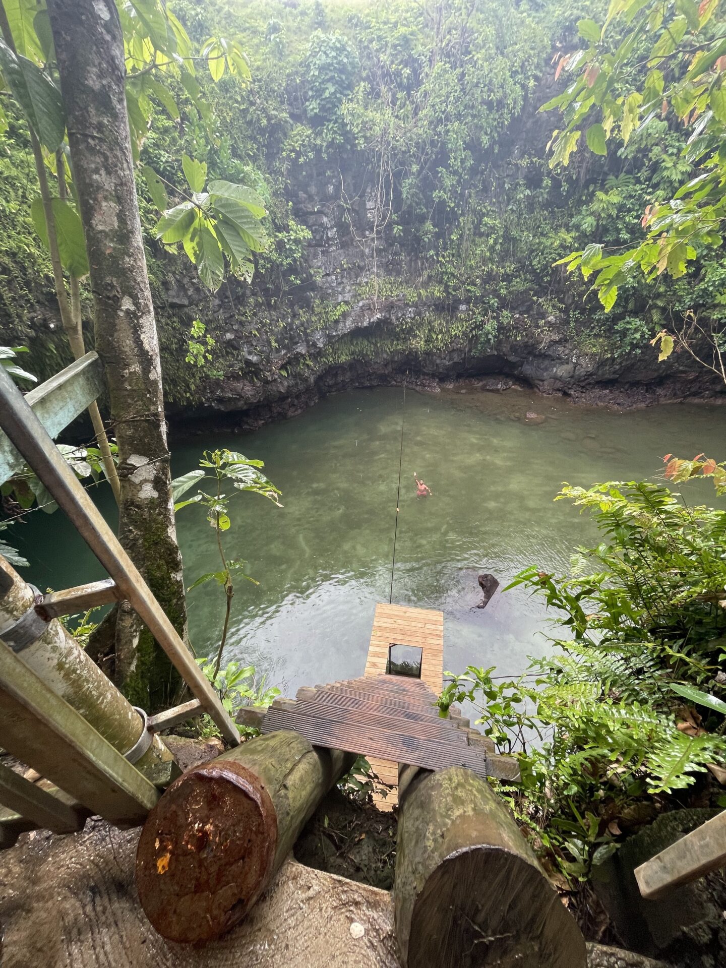 a person swimming in a river