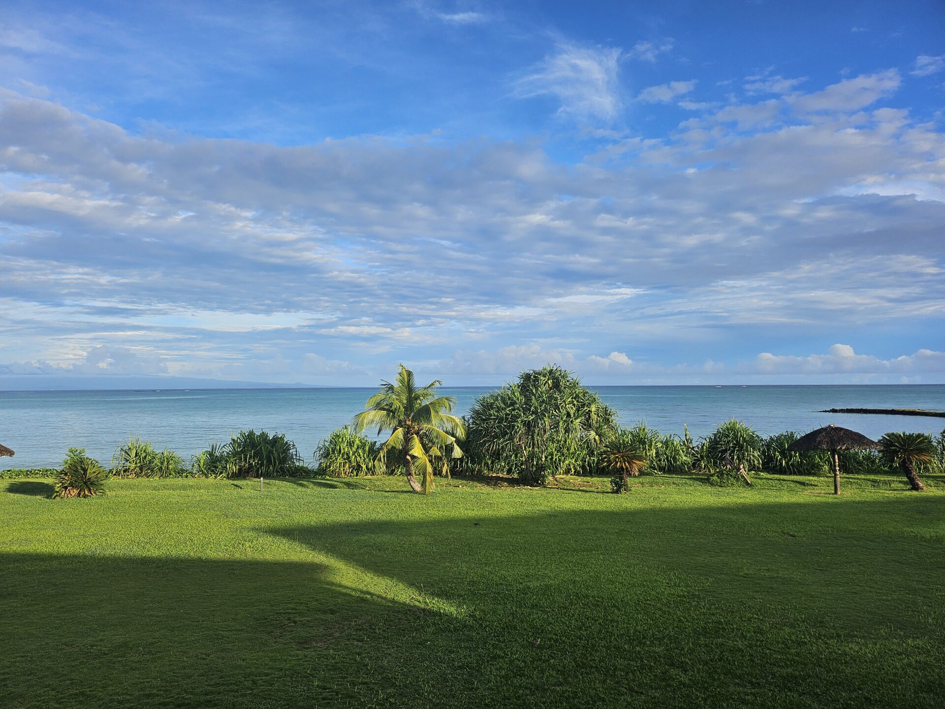 a grass field with trees and a body of water in the background