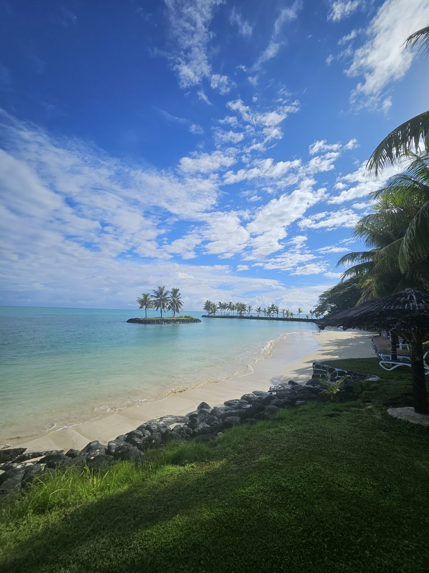 a beach with palm trees and a blue sky