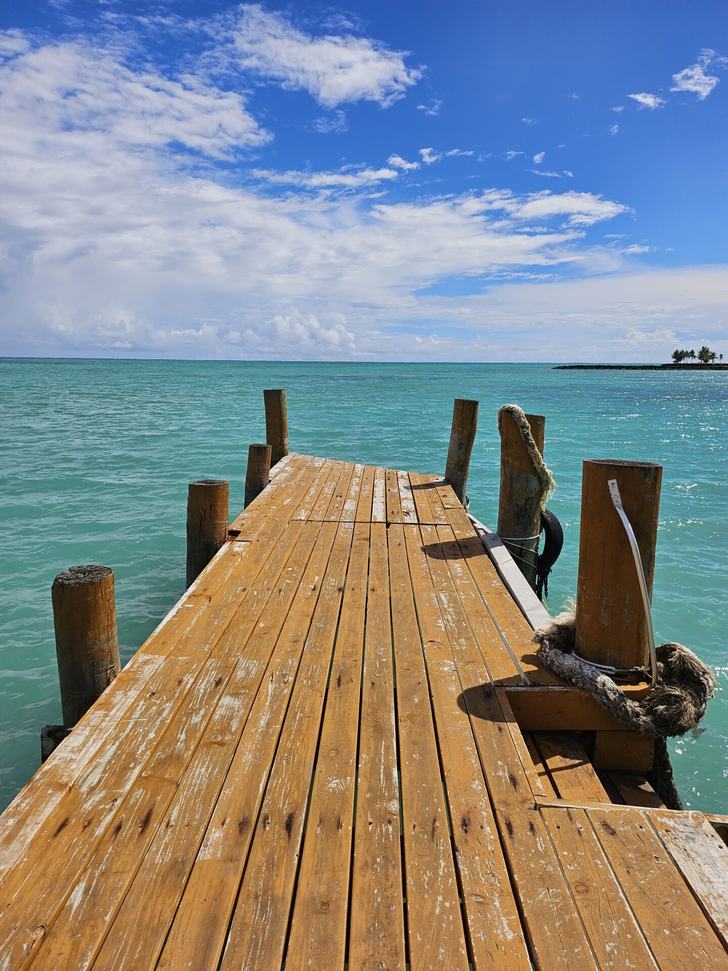 a wooden dock on the water