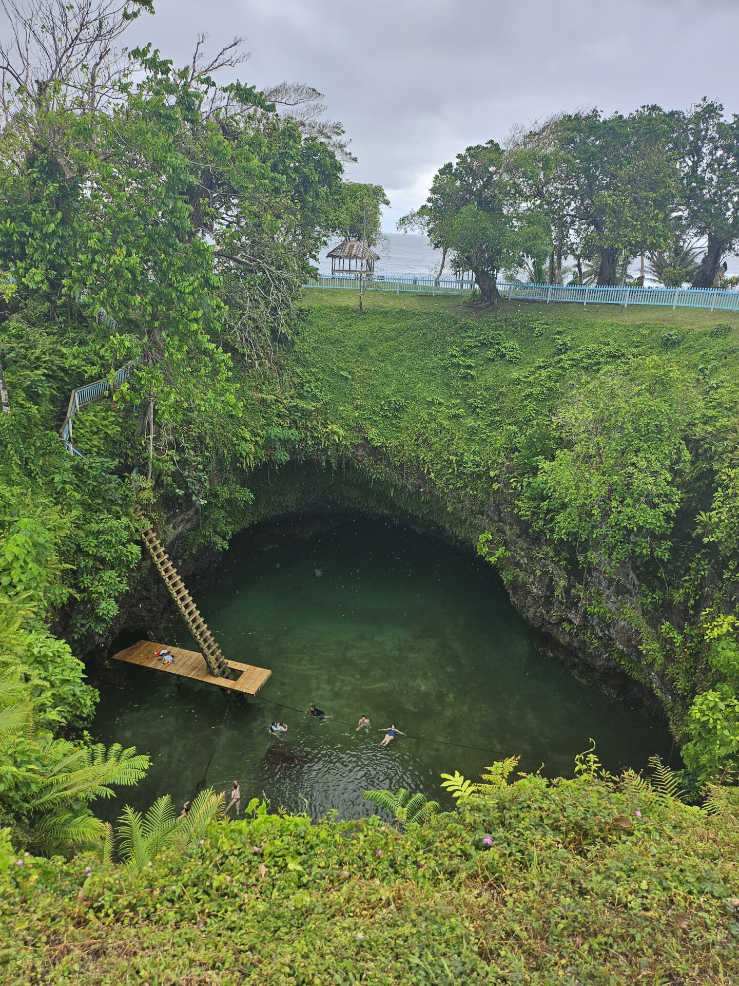 a group of people swimming in a pool