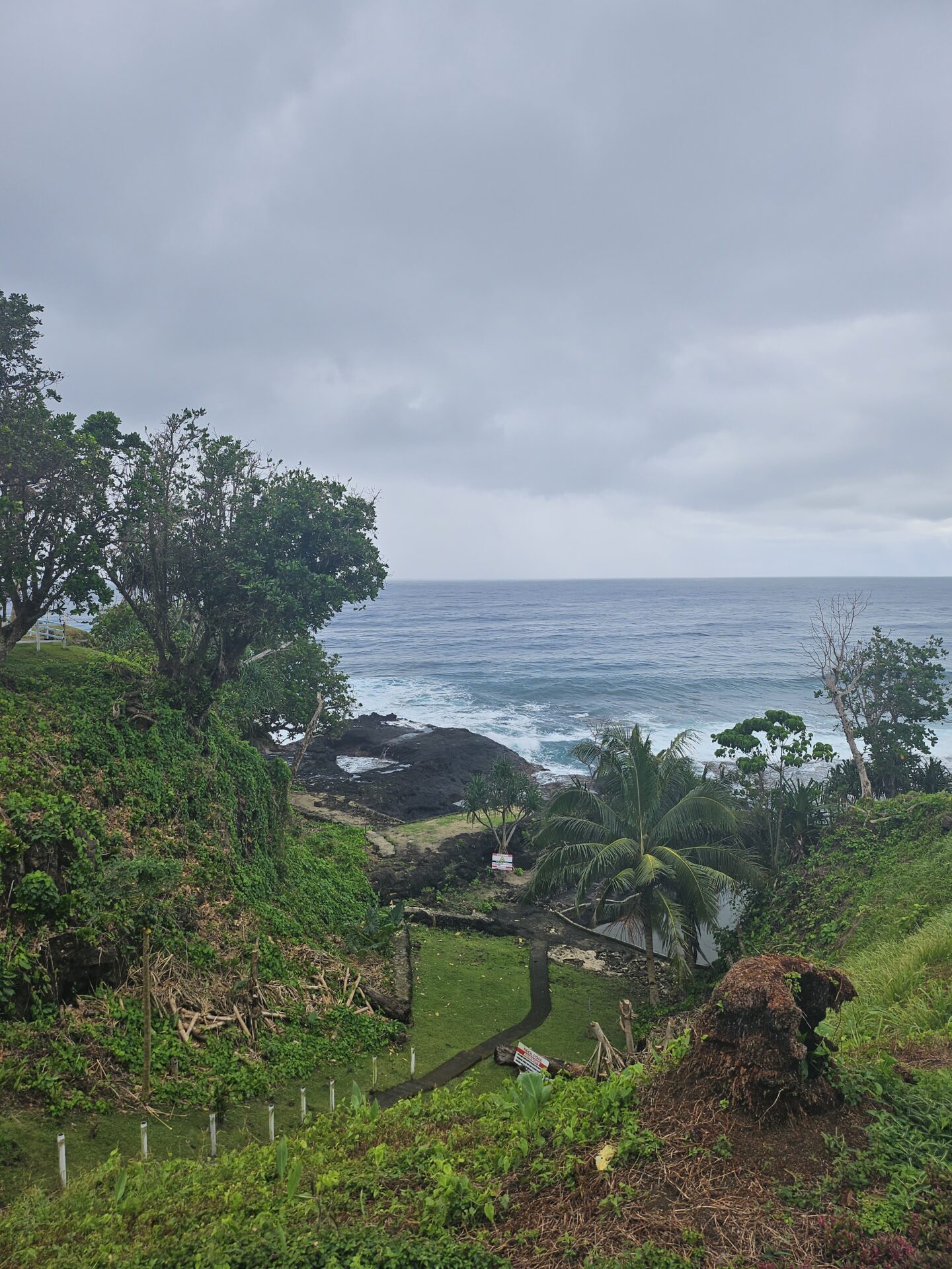 a view of a beach and a body of water from a hill