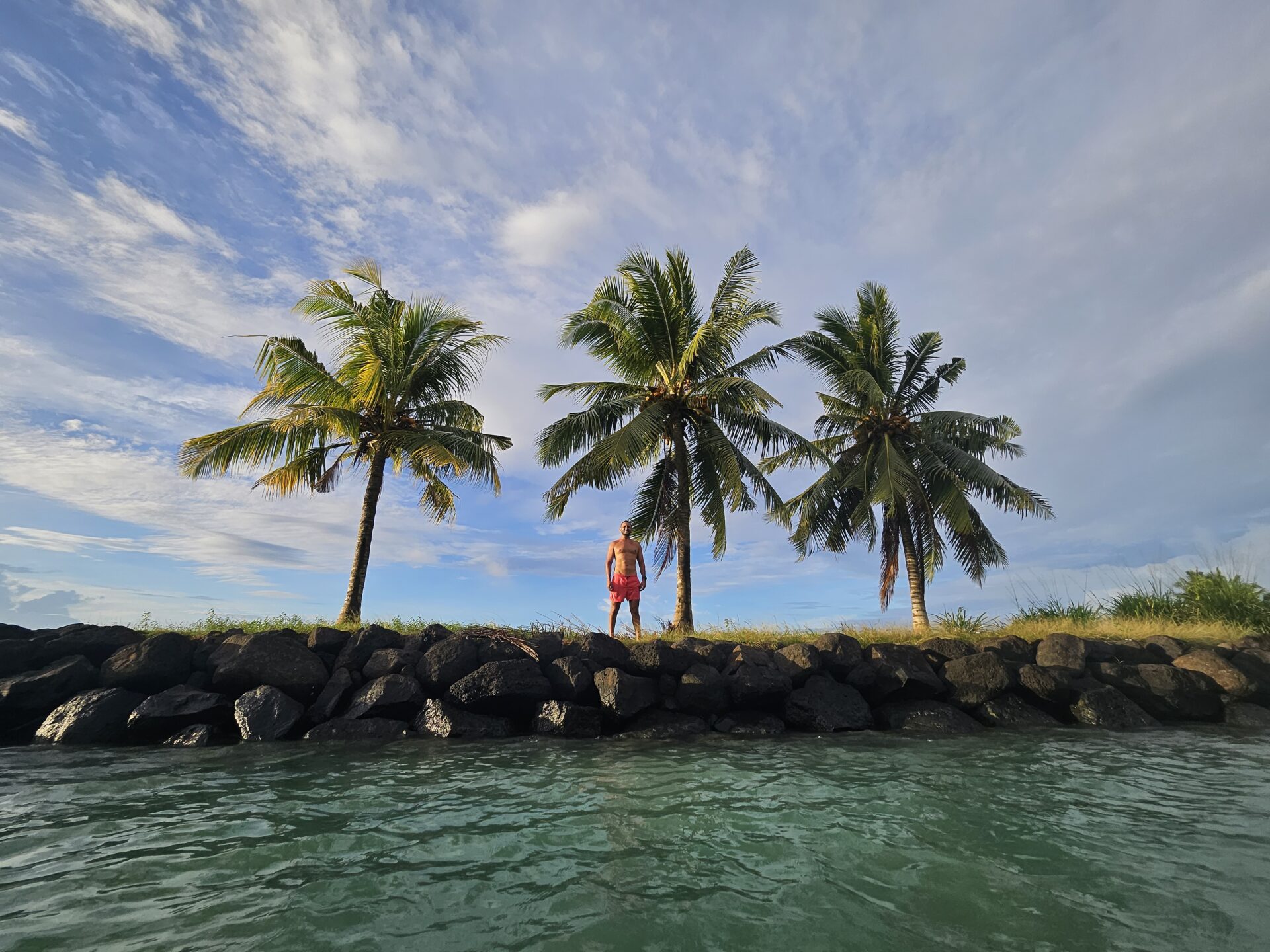 a man standing on a rock wall next to palm trees