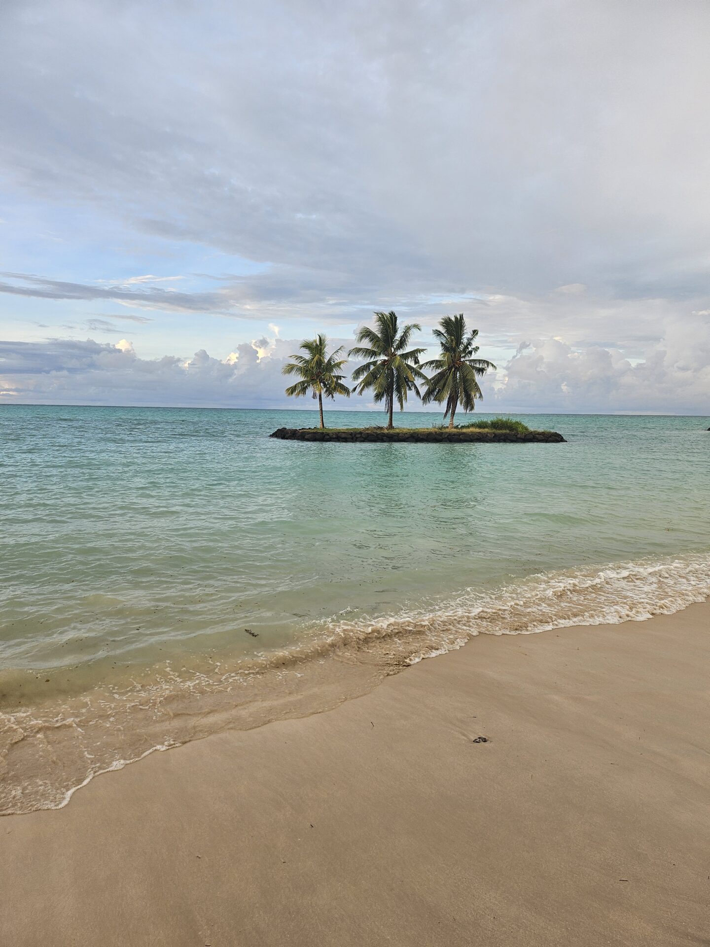 a small island with palm trees in the middle of the ocean