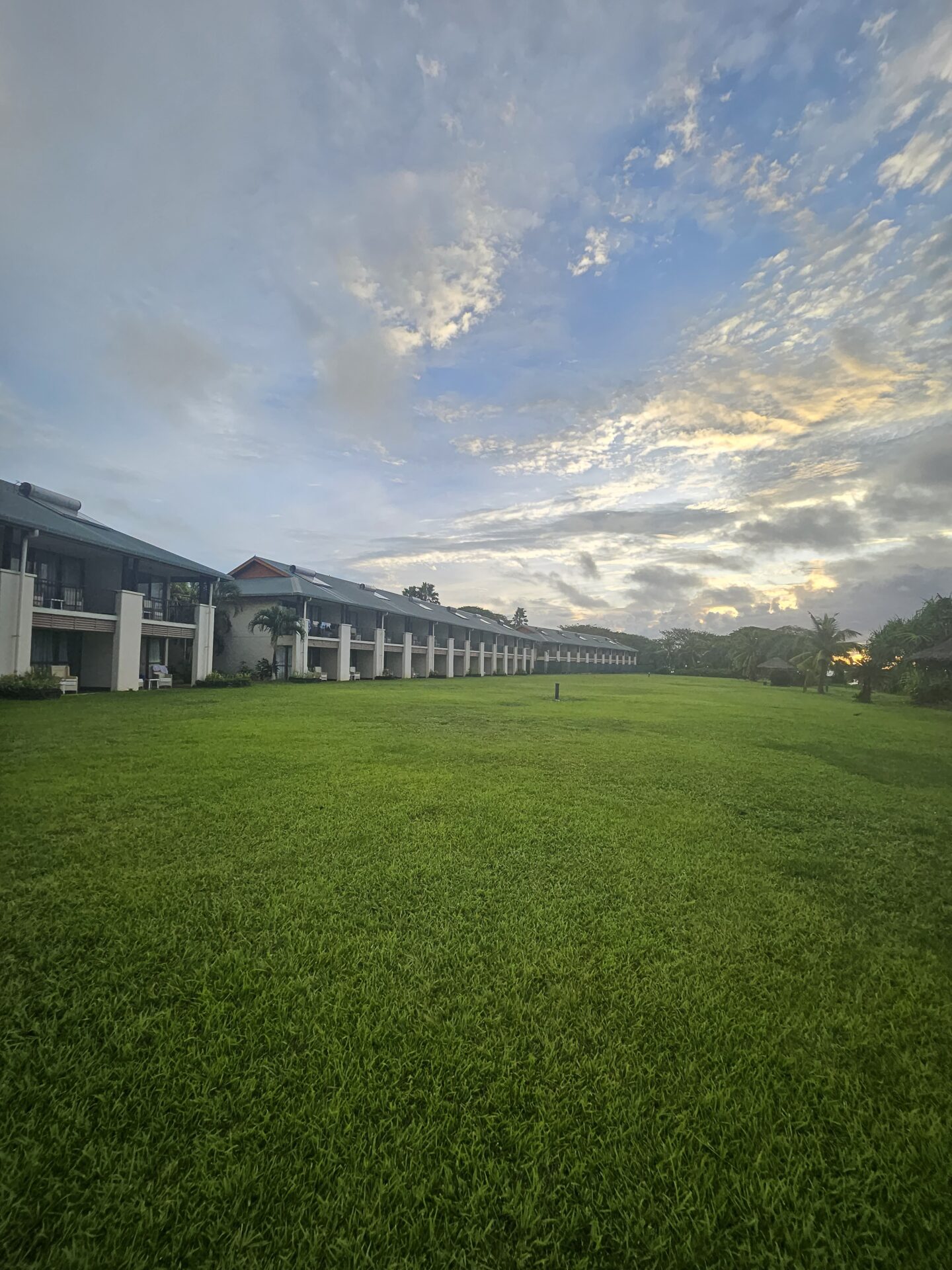 a large lawn with buildings in the background