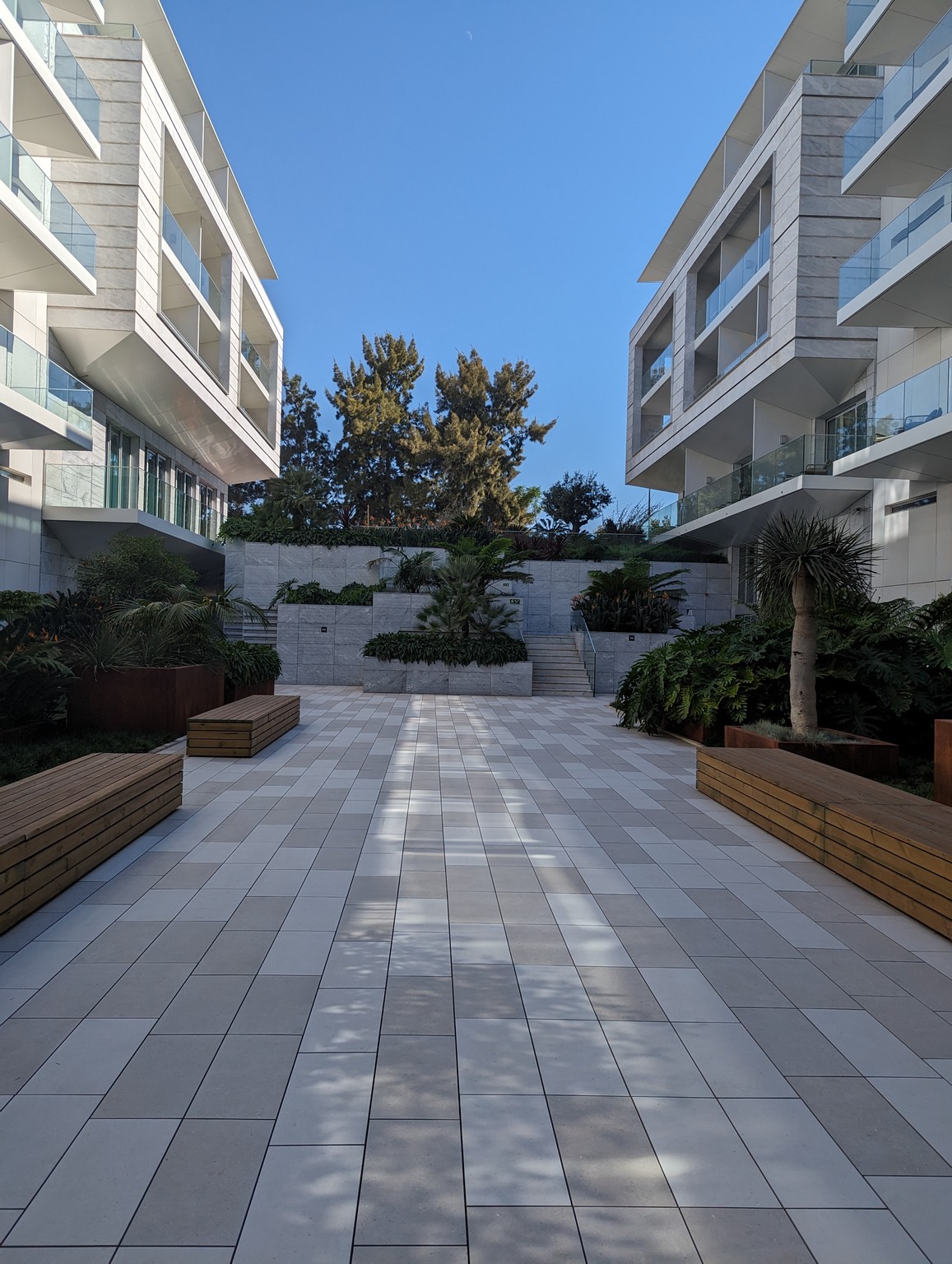 a courtyard with benches and trees