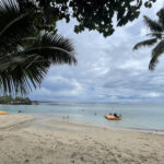 20231029_021050434_iOS