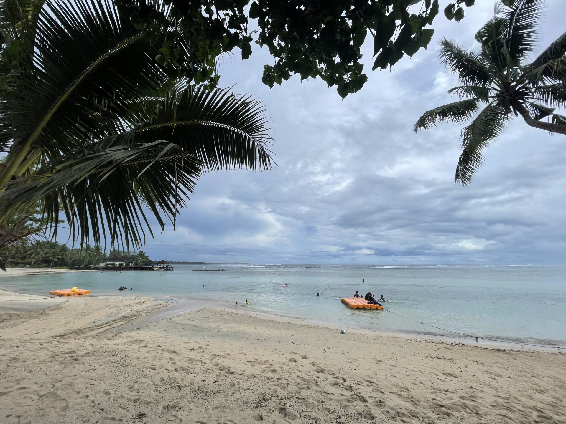 a beach with palm trees and a raft on the water