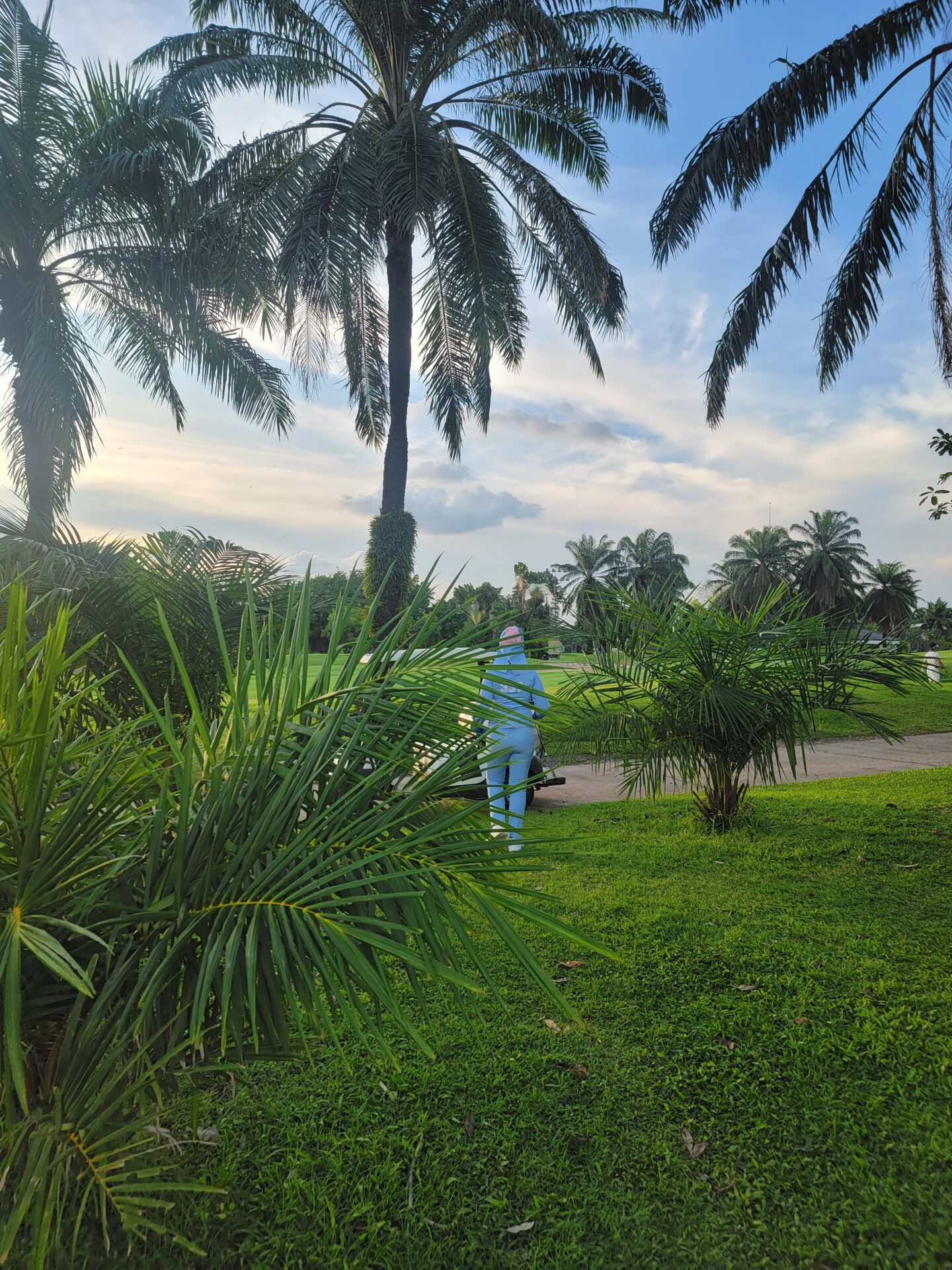 a person standing in a park