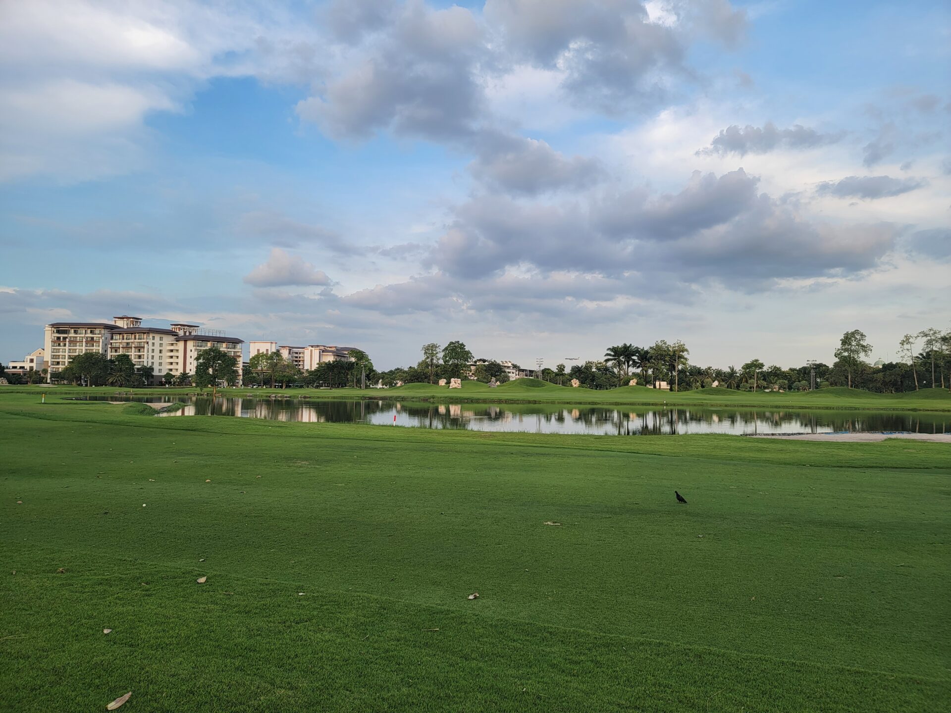 a large grassy field with a body of water in the middle