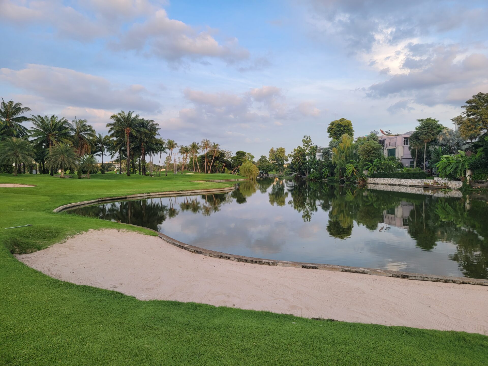 a pond with a path and trees