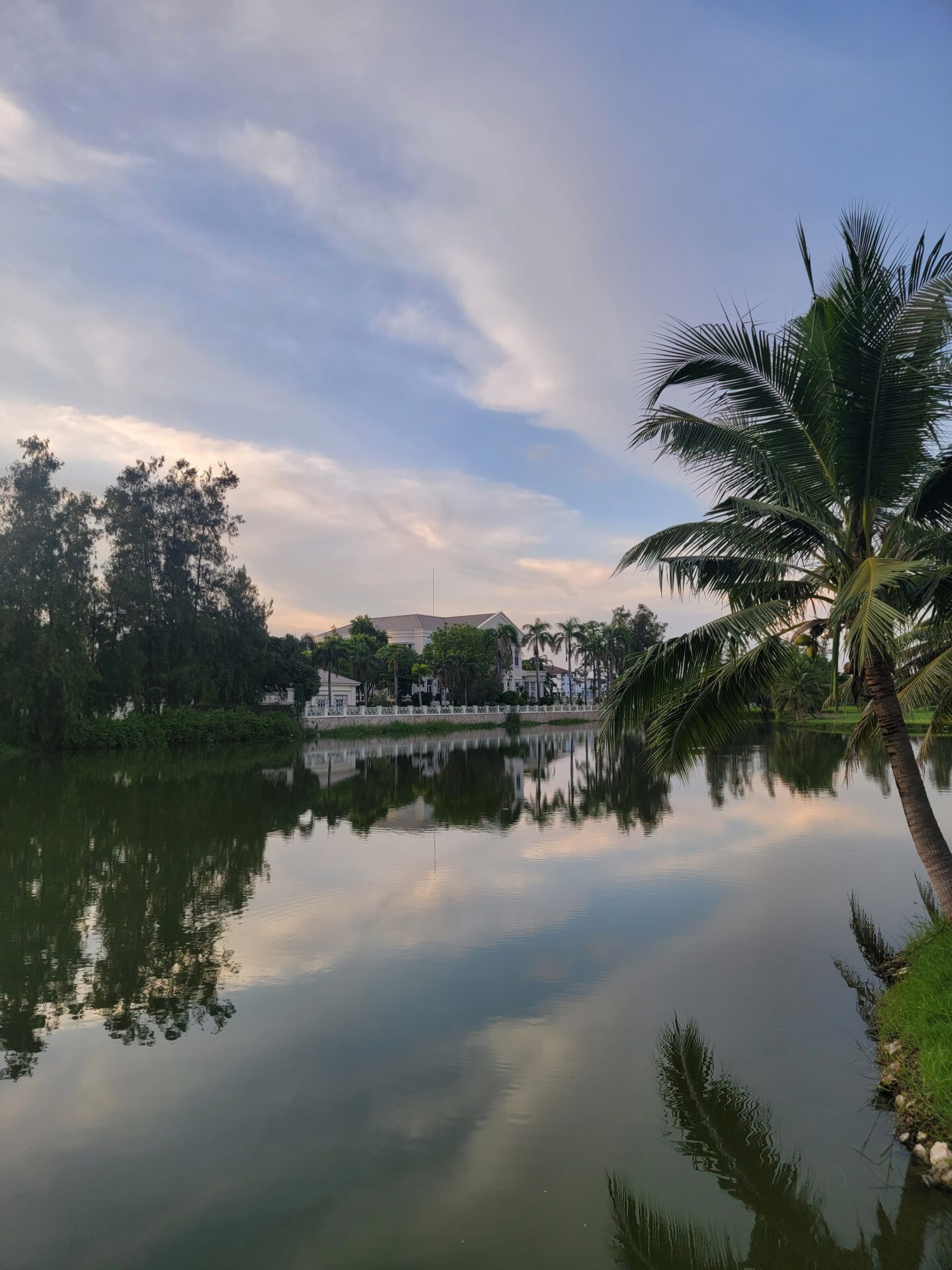 a body of water with trees and buildings in the background