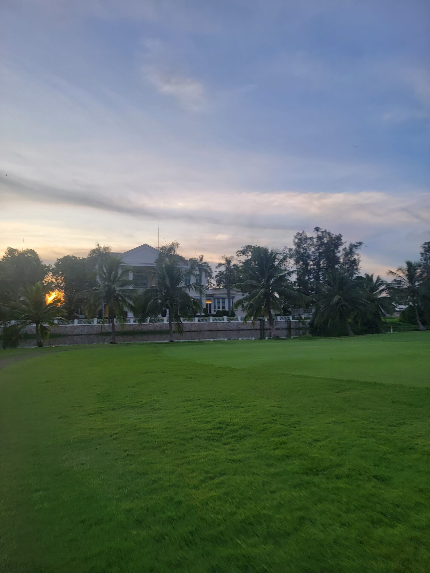 a large green field with palm trees and a building in the background