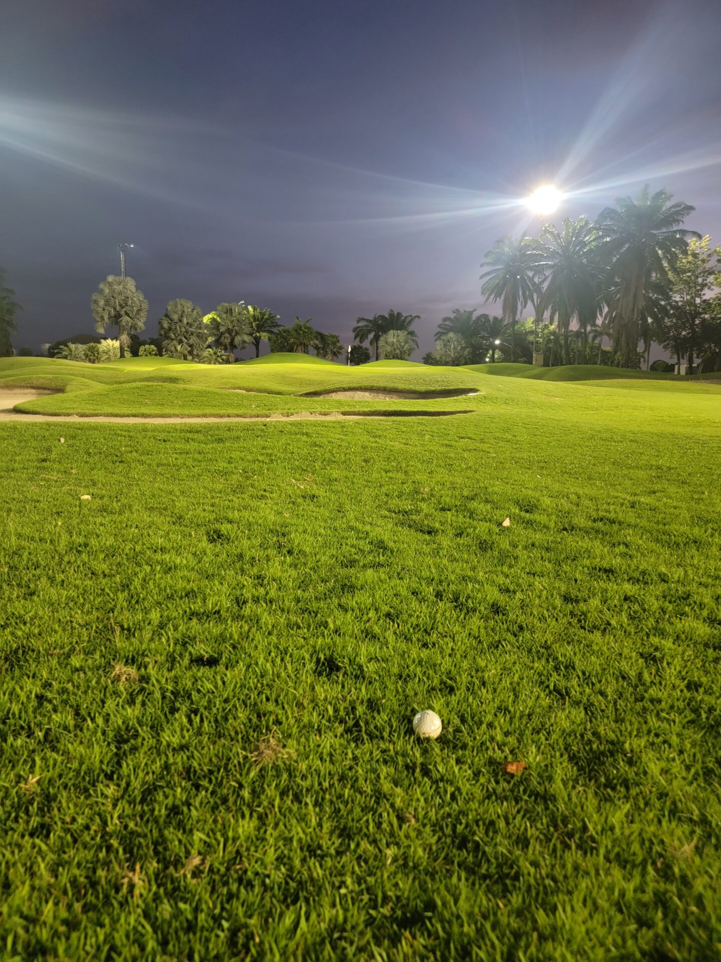 a golf course with a path and a golf ball