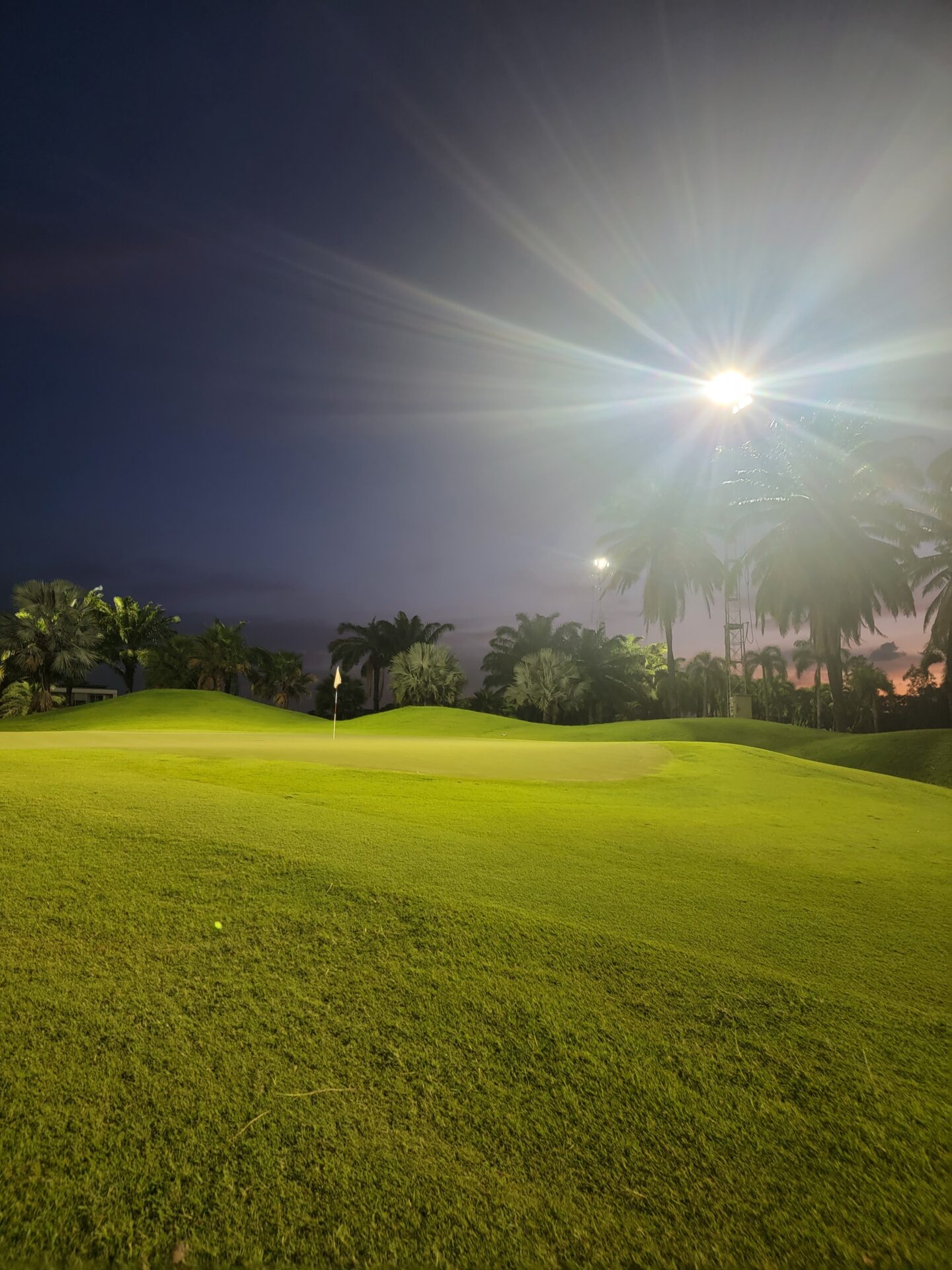 a golf course with palm trees and a flag