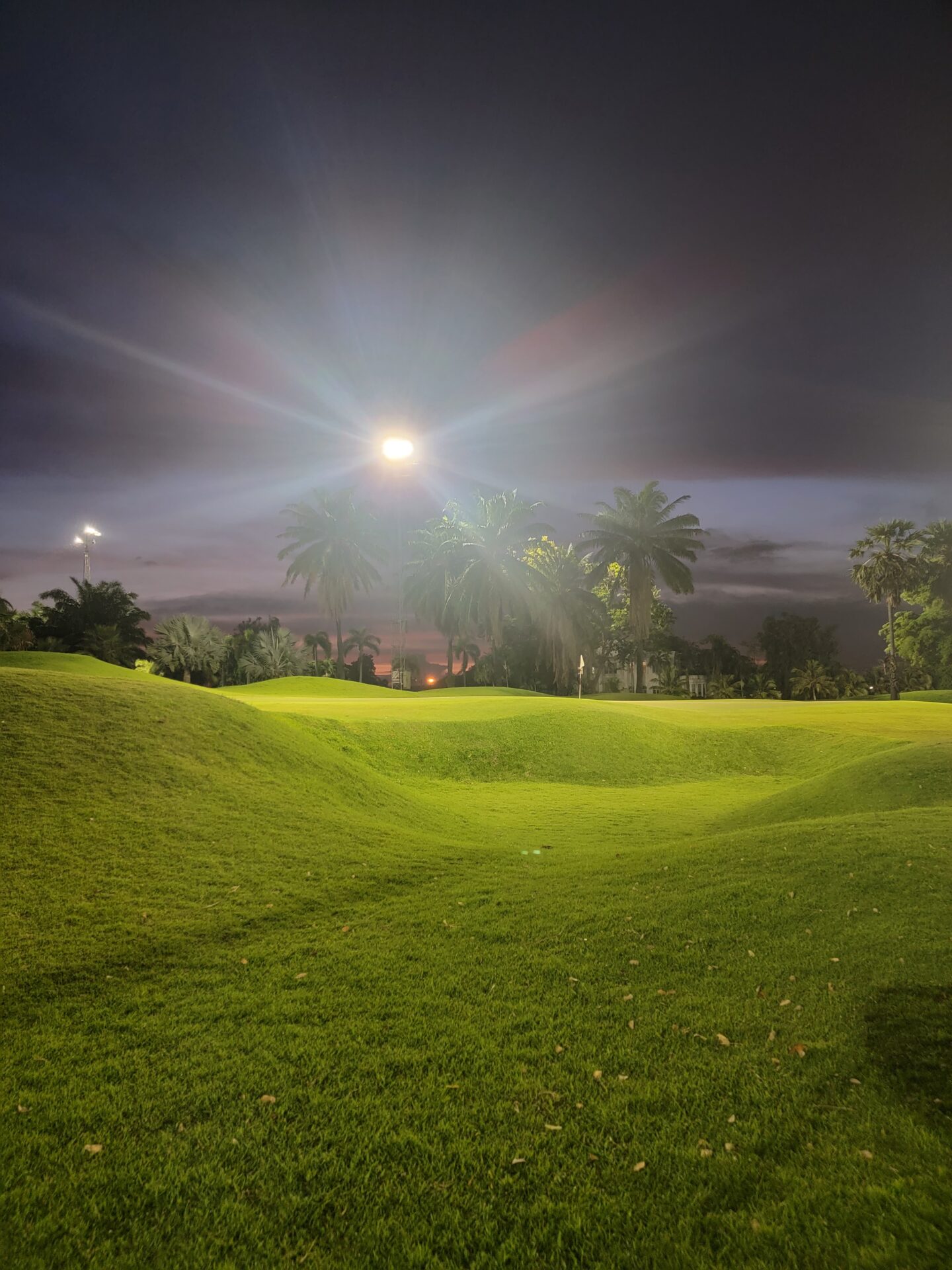 a green grass field with trees and a street light