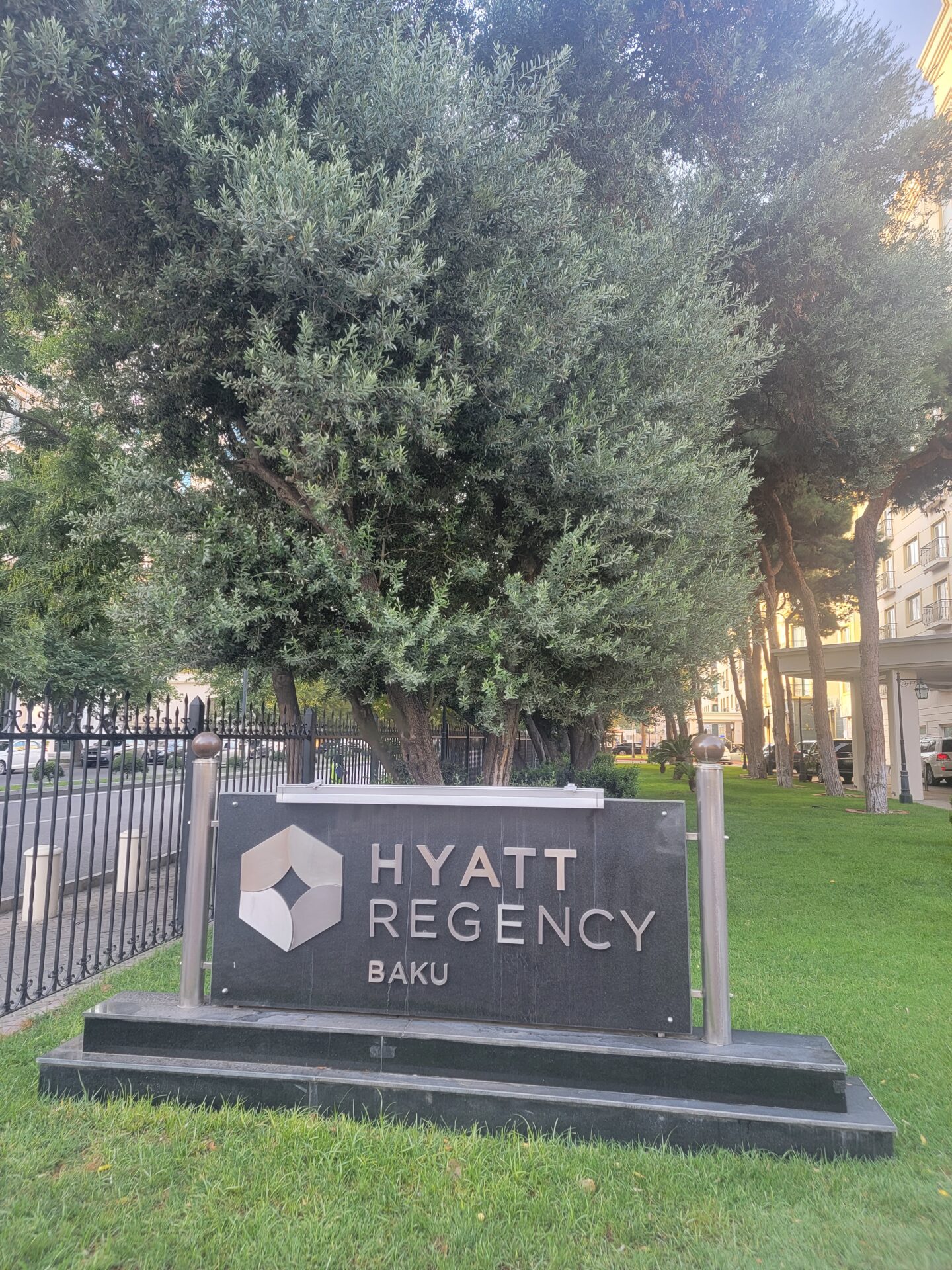 a sign in front of a tree