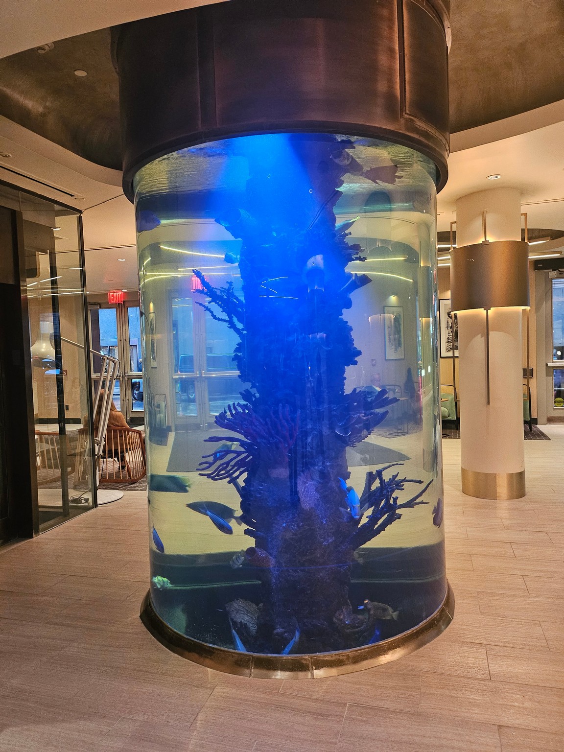 a fish tank with a blue light in the middle