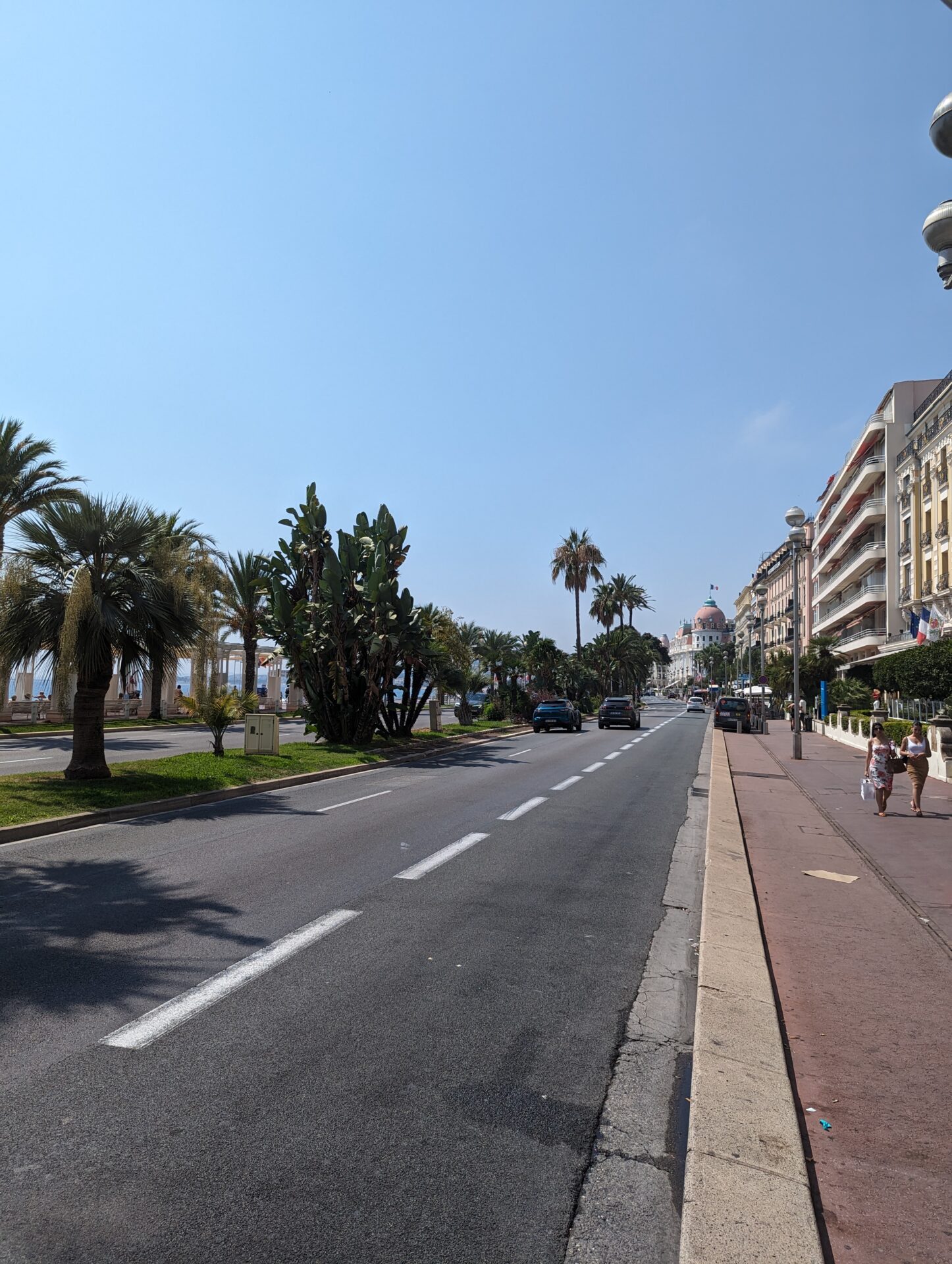 a street with palm trees and buildings