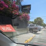 PXL_20230412_172054445 Medium