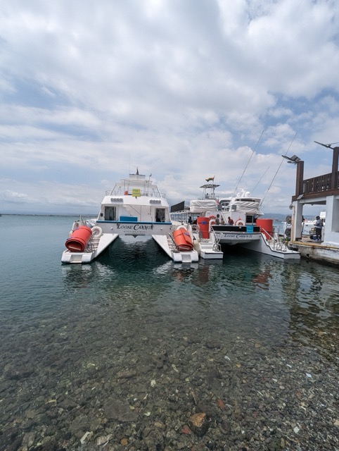 a group of boats on a body of water