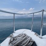 PXL_20230414_182022817 Medium