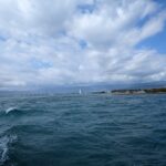 PXL_20230414_194256355 Medium