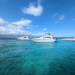 PXL_20230414_201647115 Medium