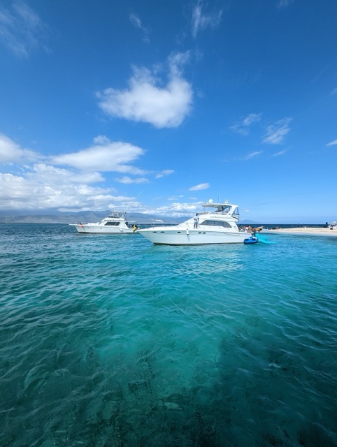 a group of boats in the water