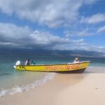 PXL_20230414_205308407 Medium