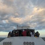 PXL_20230414_230653754 Medium