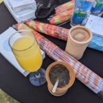 PXL_20230415_140723980 Medium