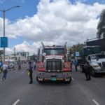 PXL_20230416_152553243 Medium