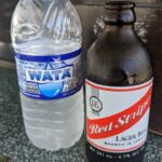 PXL_20230417_165141838 Medium