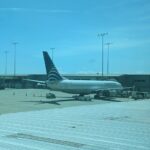 PXL_20230417_191357823 Medium