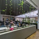 PXL_20230417_222852034 Medium