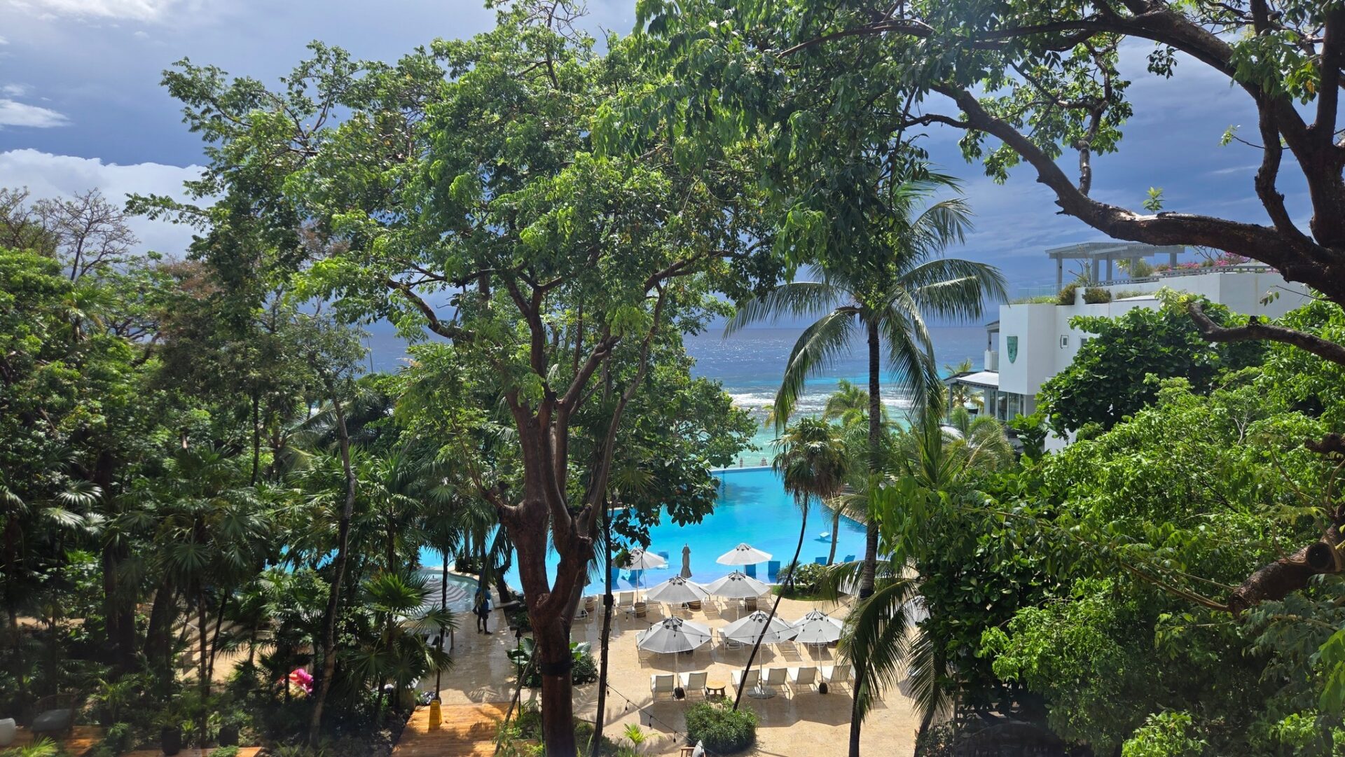 a pool with umbrellas and chairs and trees