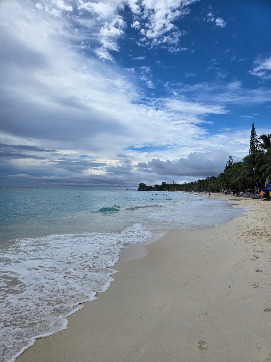 a beach with trees and a blue sky