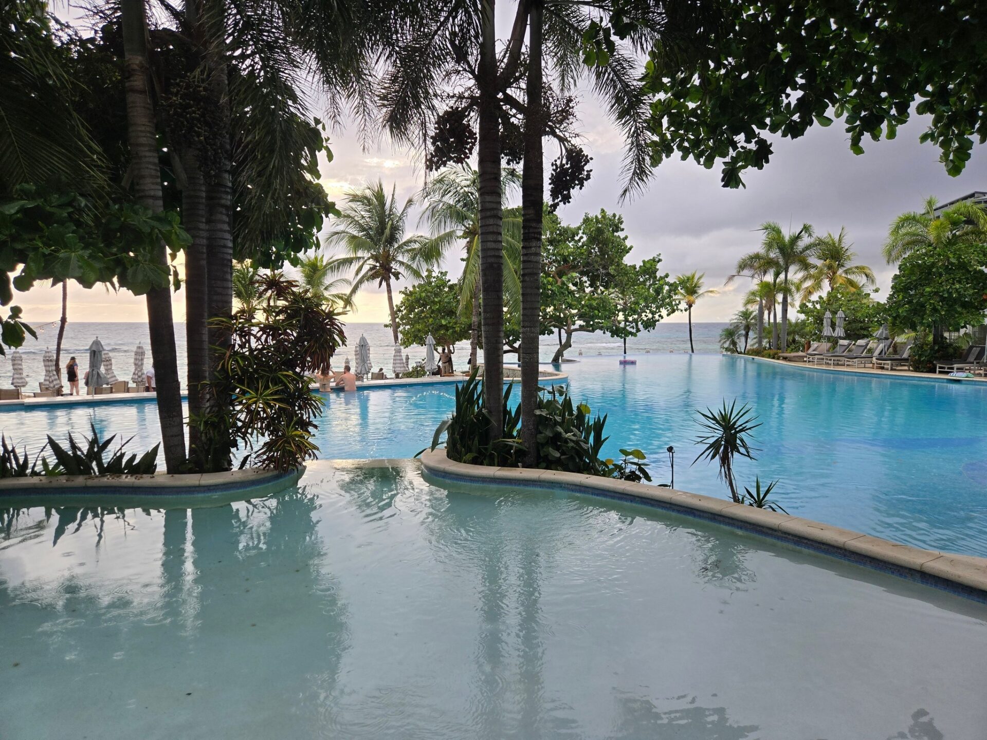 a pool with trees around it