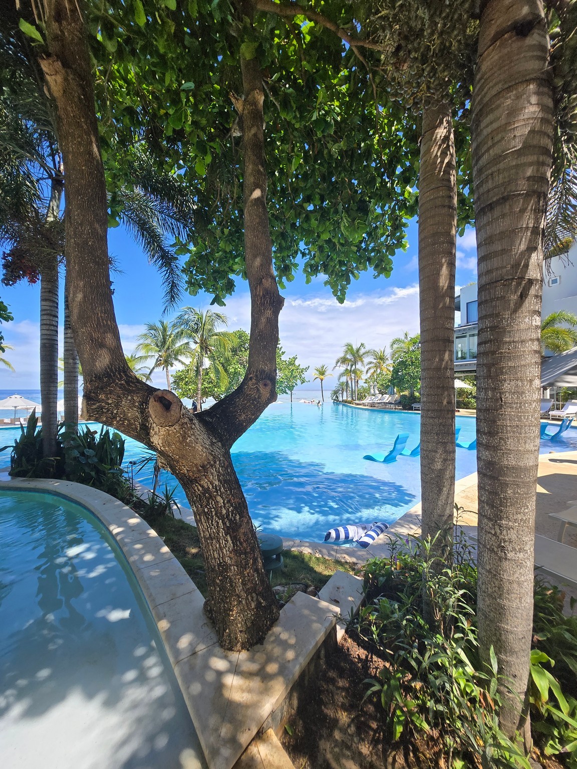 a pool with trees and hammocks
