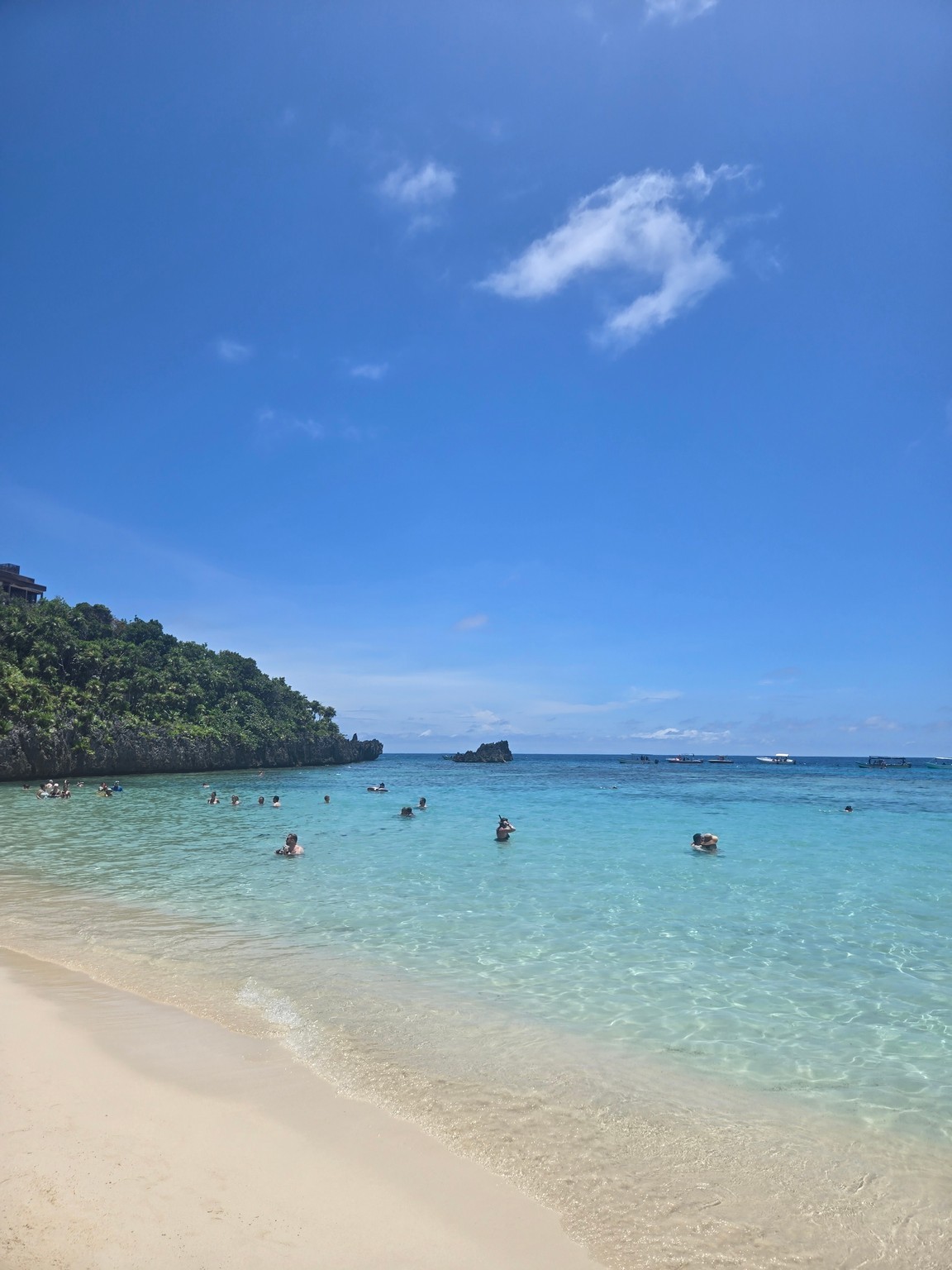 a group of people swimming in the water