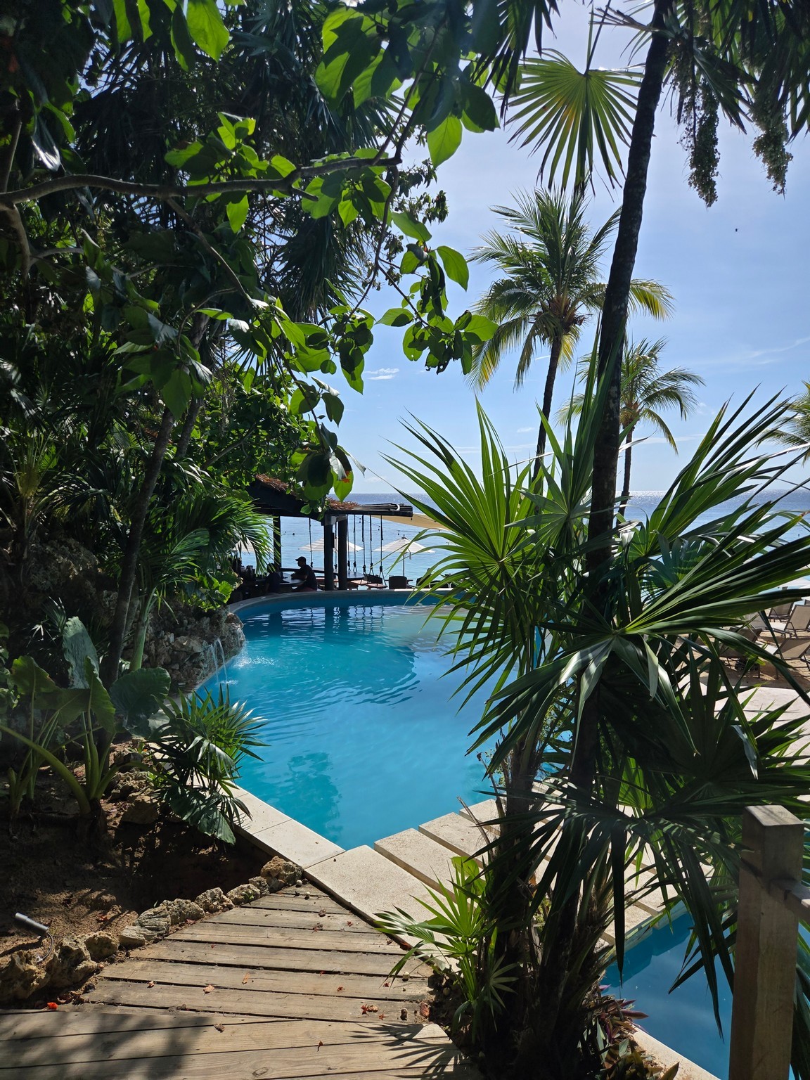 a pool with palm trees and a beach in the background
