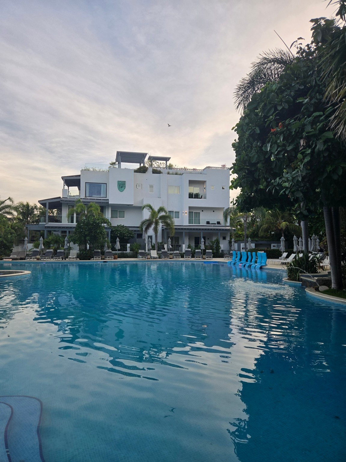 a pool with chairs and trees in front of a building