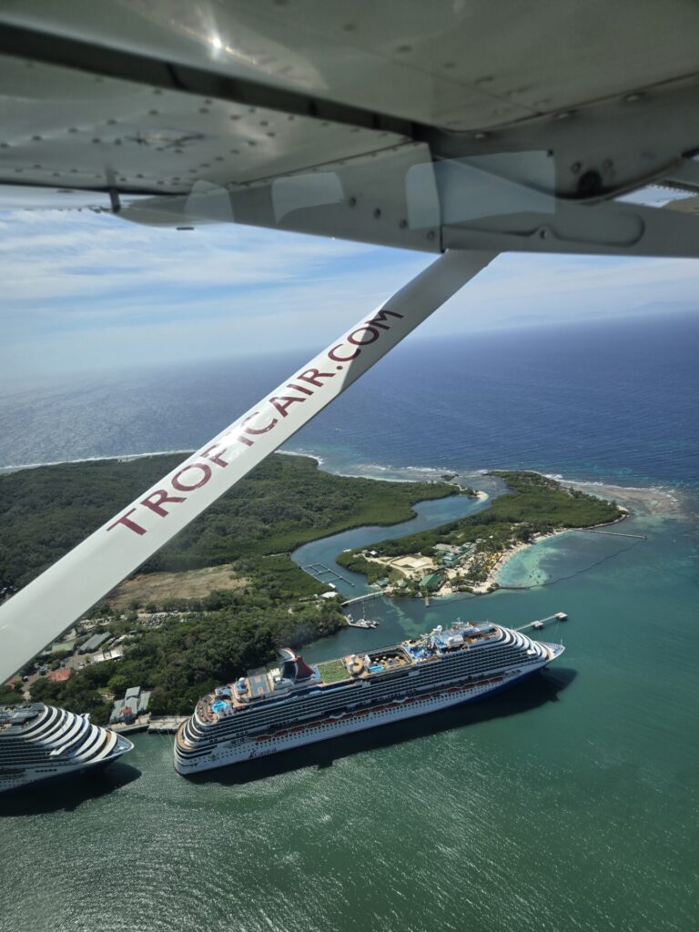 Cruises Kill: Just Say No