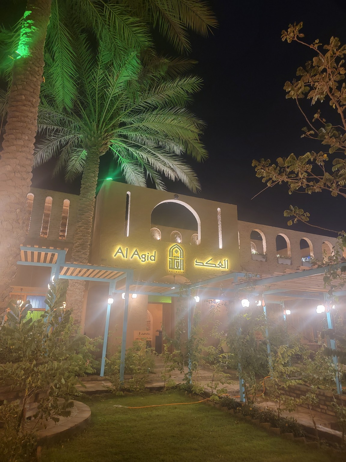 a building with palm trees and lights