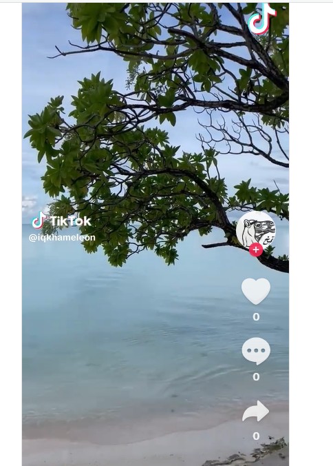The Nomadic Athlete: Now on TikTok